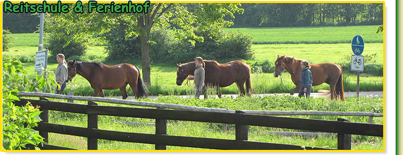 Die Ponyfarm - Reiterferien Reiterhof Ponyhof Reiterhöfe Reiterferien Kinder reiterferien niedersachsen reiterferien für kinder reiterferien hamburg reitferien reiten für kinder Reiterferien Schleswig Holstein reiterferien berlin