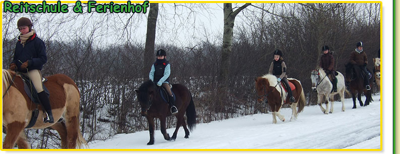 Die Ponyfarm - Reiterferien Reiterhof Ponyhof Reiterhöfe Reiterferien Kinder reiterferien niedersachsen reiterferien für kinder reiterferien hamburg reitferien reiten für kinder Reiterferien Schleswig Holstein reiterferien berlin