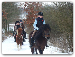 Ponyfarm Schafstedt