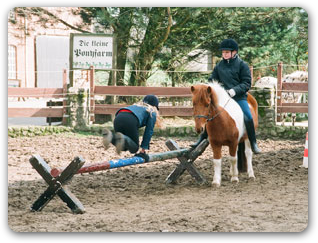 Ponyfarm Schafstedt